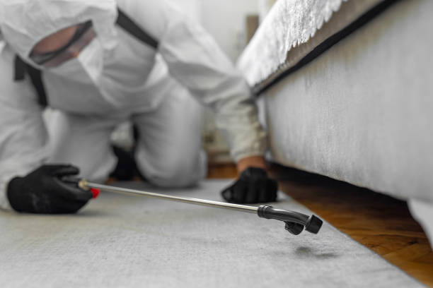 Professional Pest Control technician working in Wanaque, NJ