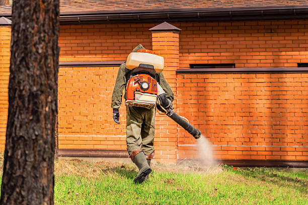 Trusted Emergency Pest Control service in Wanaque, NJ - Nex Pest Control